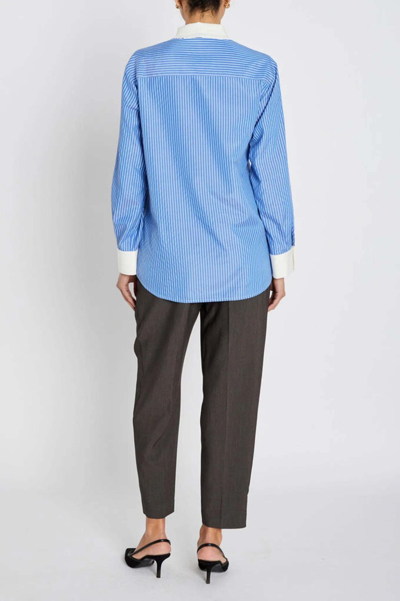 BorassusBBZiana shirt Dark Blue Stripe BBW4872